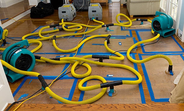 Professional Sewage Cleanup technician working in Ava, MO
